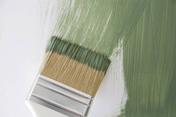 Mold Remediation for Vacation Homes in Darien Downtown, CT